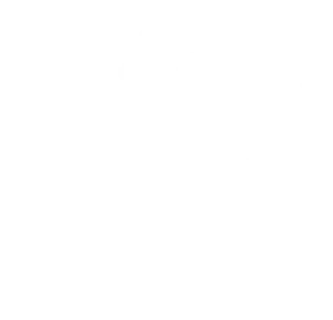 Reparo Fyzioterapie – logo